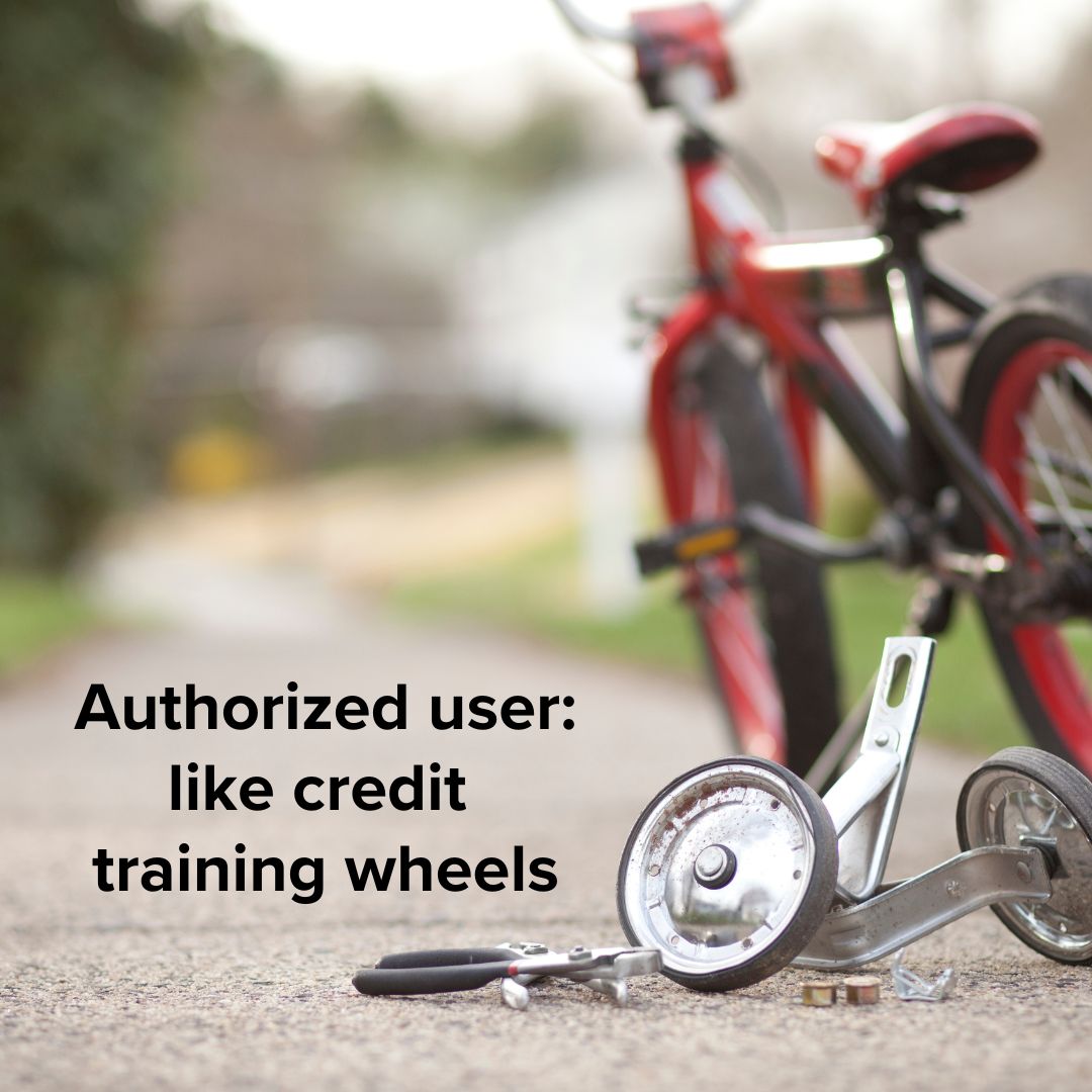 Title 'Authorized user: like credit training wheels' on the left. Photo of a red children's bicycle with training wheels in the foreground.