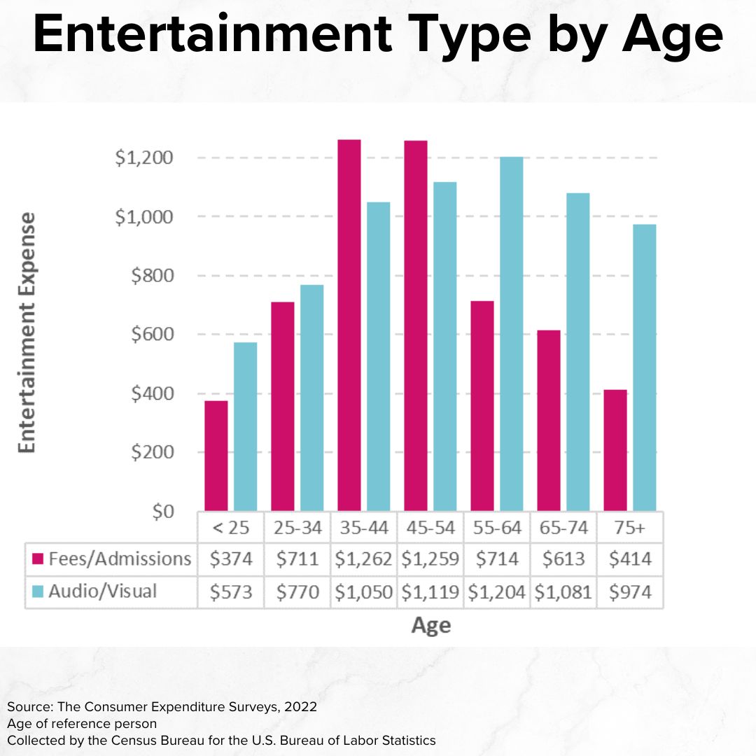 Title 'Entertainment Type by Age' on top. It's a vertical bar chart with Age on the x-axis and Entertainment Expense on the y-axis. Fees/Admissions skews much younger than Audio/Visual.