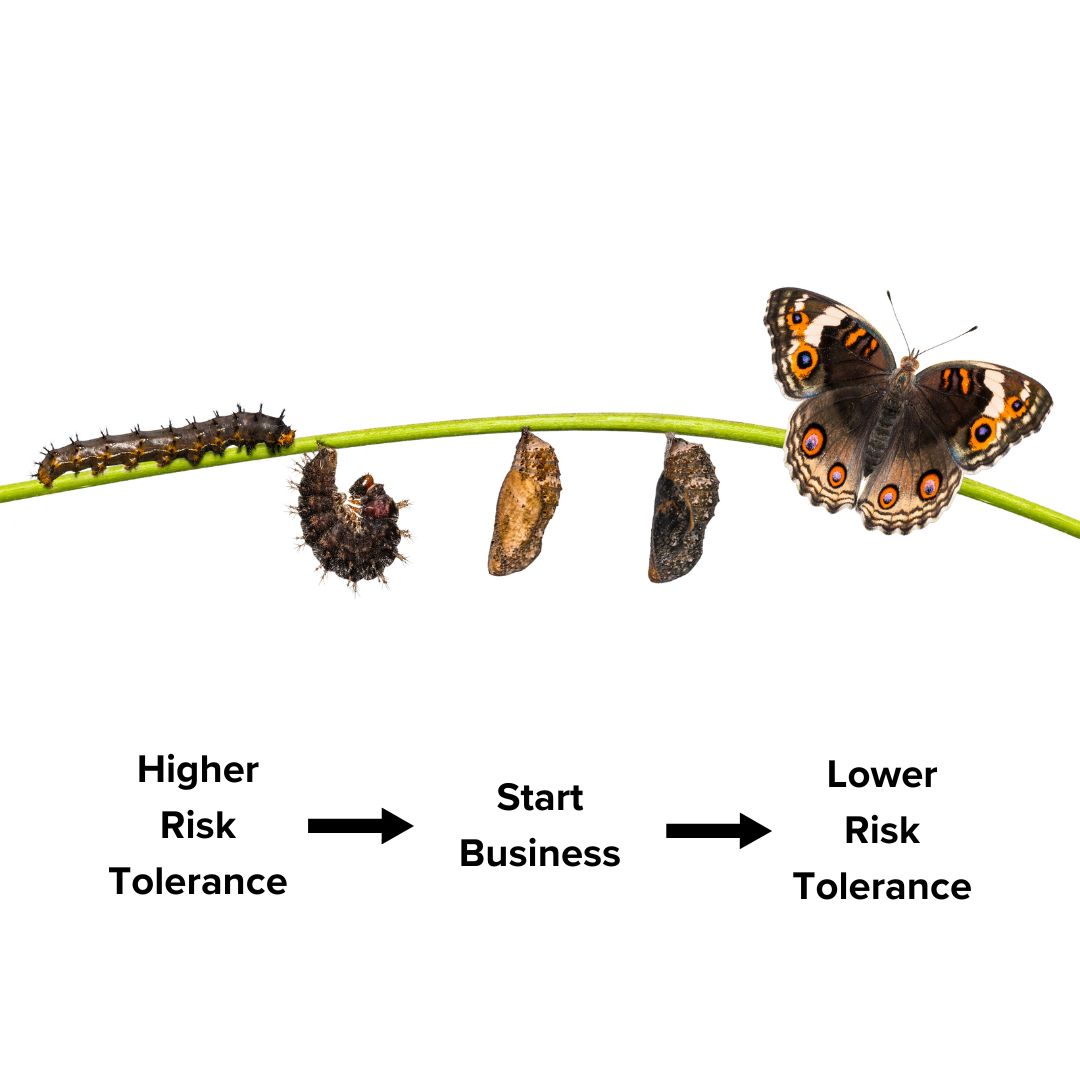 Photo of a butterfly as it goes from its larva to its metamorphisis and then its adult phase. Text below it ssays 'Higher Risk Tolerance' arrow right 'Start Business' arrow right 'Lower Risk Tolerance'
