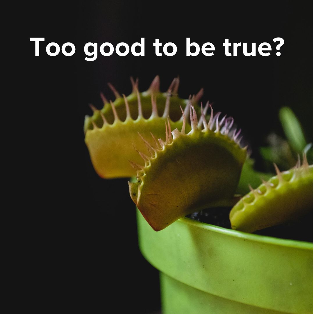 Title 'Too good to be true?' in white on top. Below it is a photo of a green pot of green Venus Fly Traps at night.