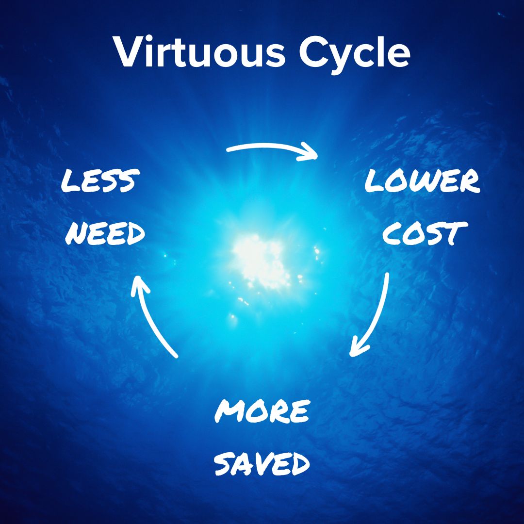 Underwater image with the sun beating down in the middle. Title at the top in white: Virtuous Cycle. Curved arrows go around the bright sun: LESS NEED to LOWER COST to MORE SAVED to LESS NEED. The three arrow sections are in a white marker font.